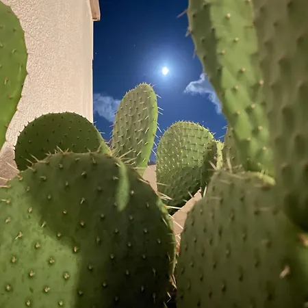 Ferienhaus Casetta Ciuri *